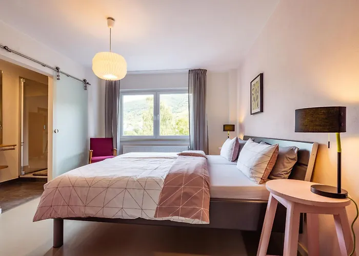 Senhalser Hoefe 森海姆