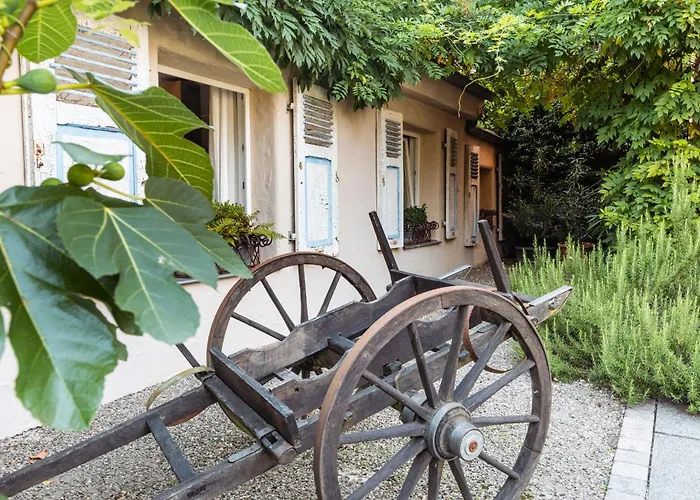 Senhalser Hoefe زينهايم